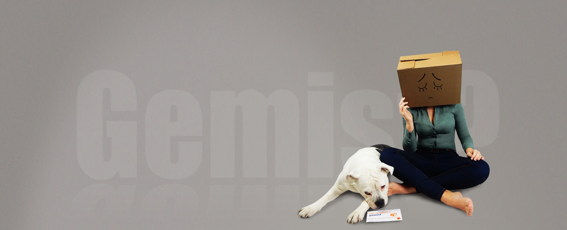 Paketbox für den zuverlässigen Empfang aller Pakete zu Hause